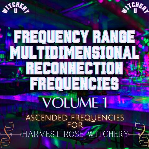 Frequency Range Multidimensional Reconnection Frequencies Volume 1 album art