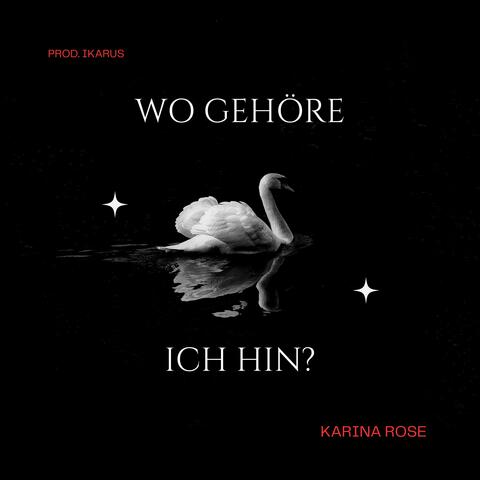 Wo gehöre ich hin? album art