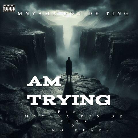Am Trying album art