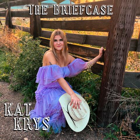 The Briefcase album art