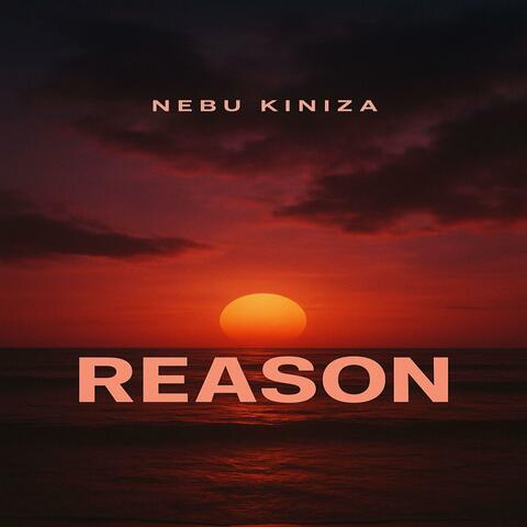 Reason album art
