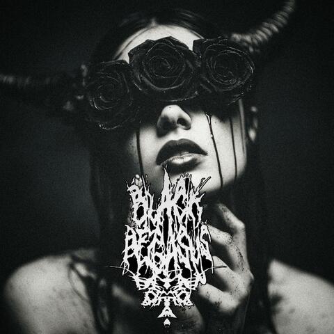 Noise Drugs album art