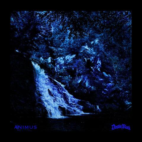 animus album art
