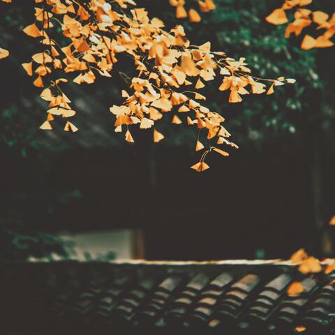 I actually miss them days album art