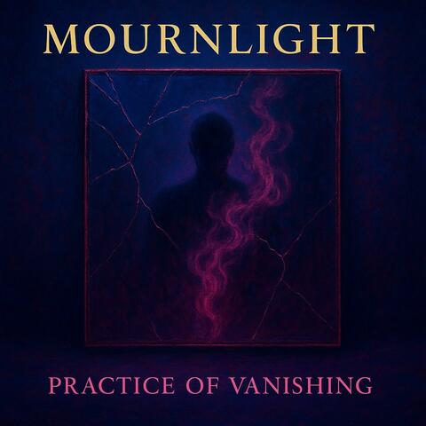 Practice Of Vanishing album art