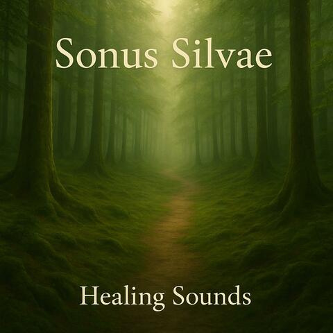 Sonus Silvae album art