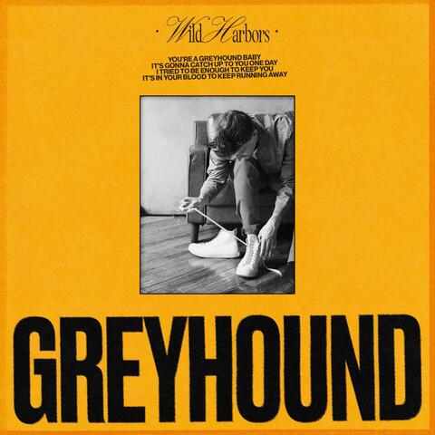 Greyhound album art