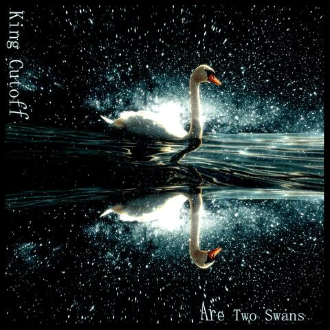 Are Two Swans album art