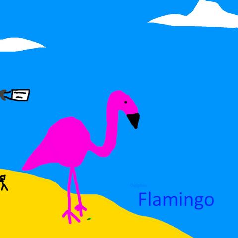 Flamingo album art