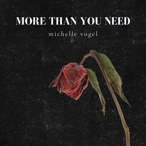 More Than You Need album art