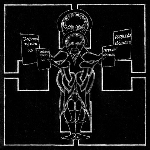 They muddy the water to make it seem deep album art