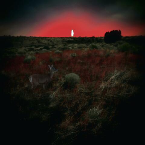 Things go quiet album art