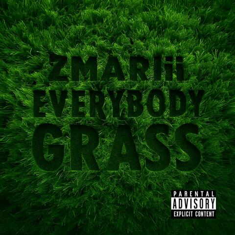 Everybody grass album art