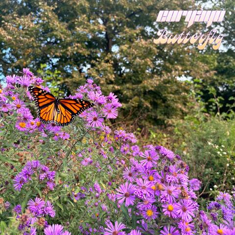 BUTTERFLY album art