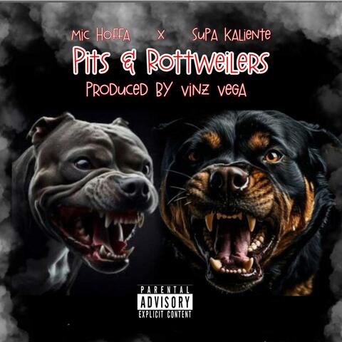 Pits & Rottweilers (feat. Supa Kaliente & Vinz Vega) album art