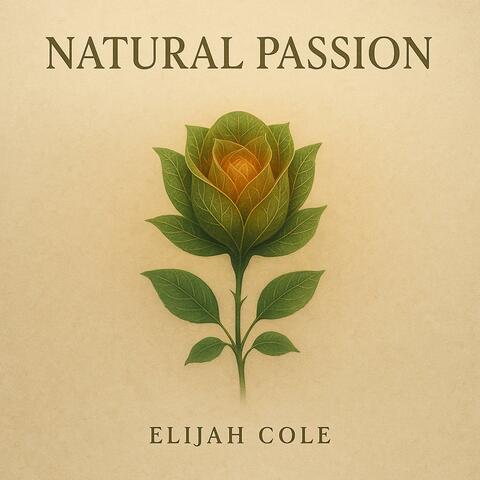 Natural Passion album art