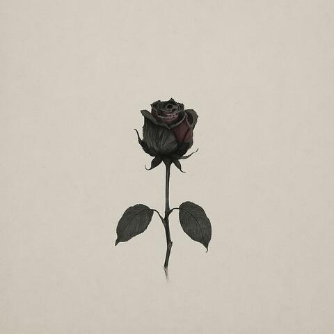 Despues Del Amor album art