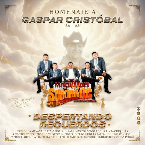 Homenaje a Gaspar Cristóbal (Despertando Recuerdos) album art