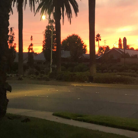 Back 2 Life album art