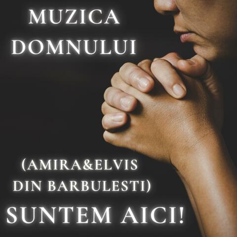 Suntem aici! (feat. Amira & Elvis din Barbulesti) album art