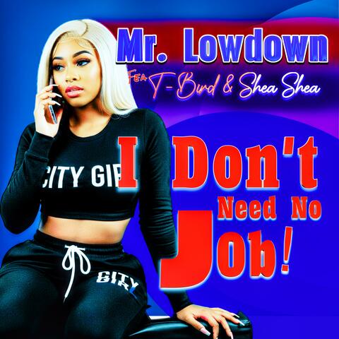 I don't need no job album art