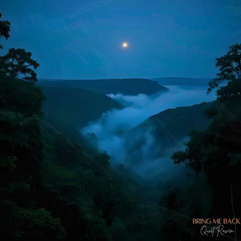 Bring Me Back album art