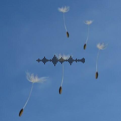 Holly (Ambient Piano) album art