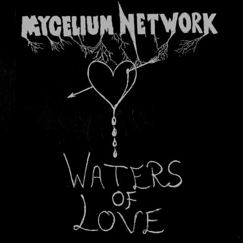 Waters Of Love album art