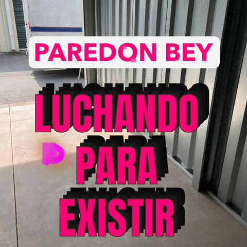 LuchandoPara Existir album art