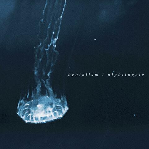 Brutalism / Nightingale album art