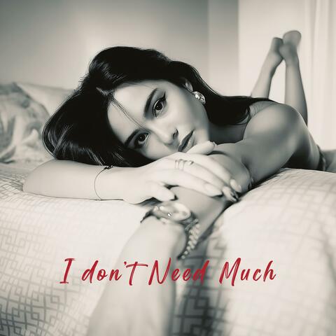 I Don't Need Much album art