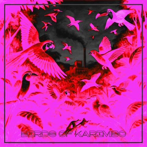 BIRDS OF KARIMBO album art