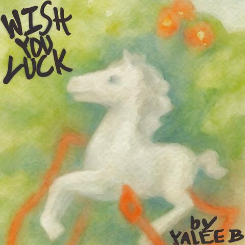 wish you luck album art