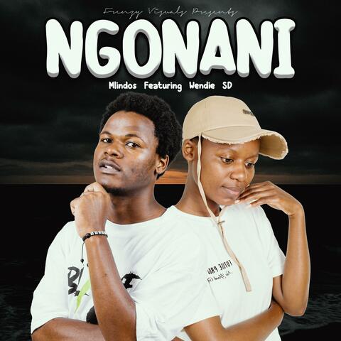Ngonani (feat. Wendie SD) album art
