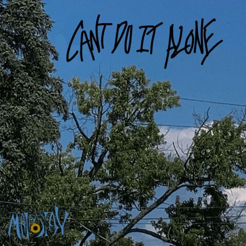 Can't do it Alone album art