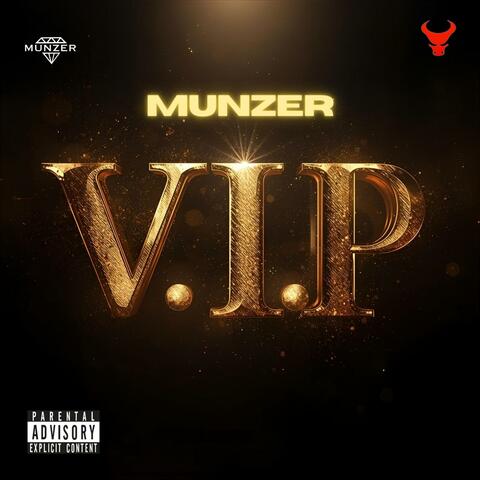 V.I.P album art