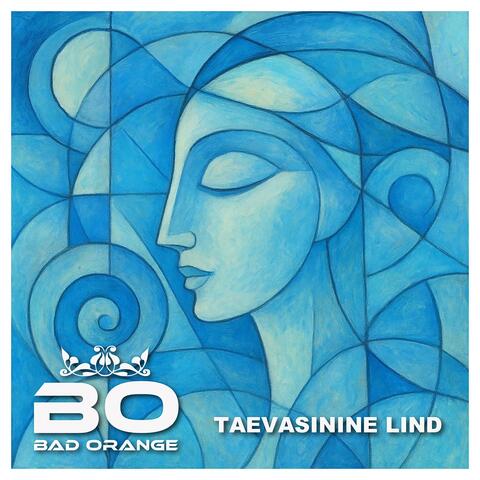 Taevasinine lind album art