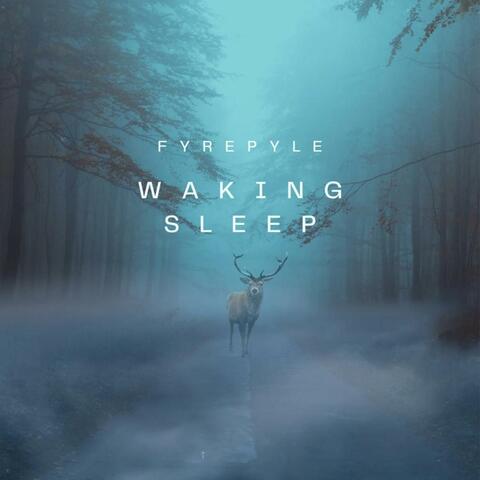 Waking Sleep album art