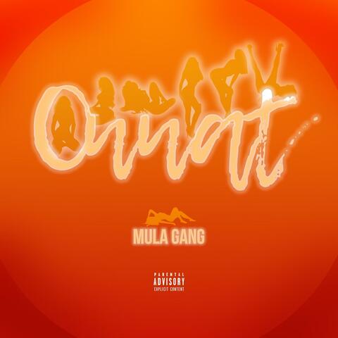 Onnat album art