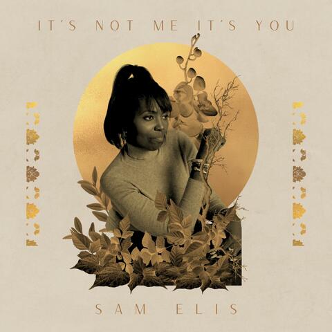 It's Not Me It's You album art