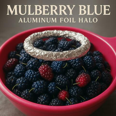 Aluminum Foil Halo album art