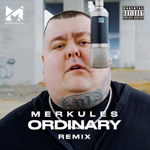 Ordinary (Remix) album art