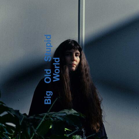 Big Old Stupid World album art