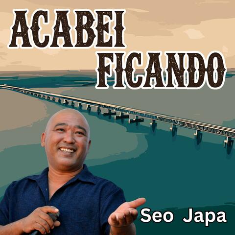 Acabei Ficando album art
