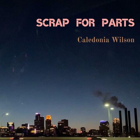 Scrap for Parts album art