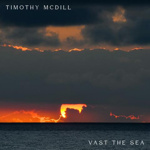Vast the Sea (feat. Moriah of Earth) album art