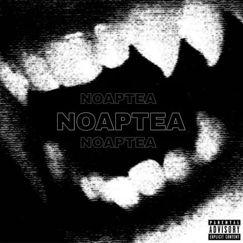 NOAPTEA (feat. ALVY) album art