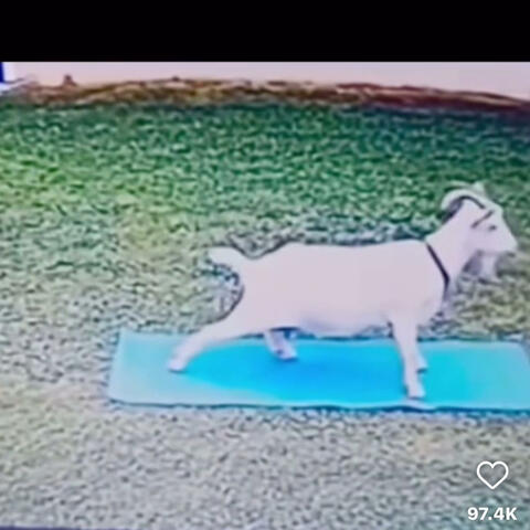 Pretti Pink wrld album art