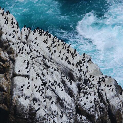 Circularity album art