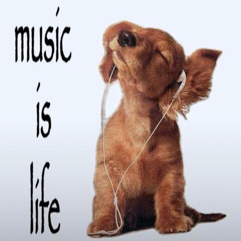 Music Is Life album art